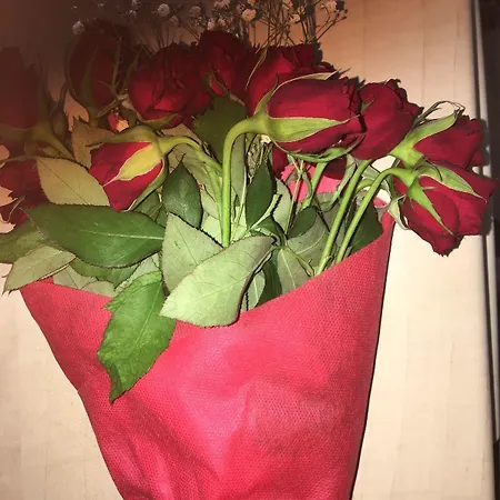 Hotell Gueven Istanbul