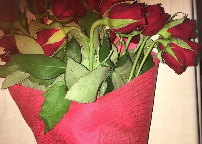 Отель Gueven Стамбул